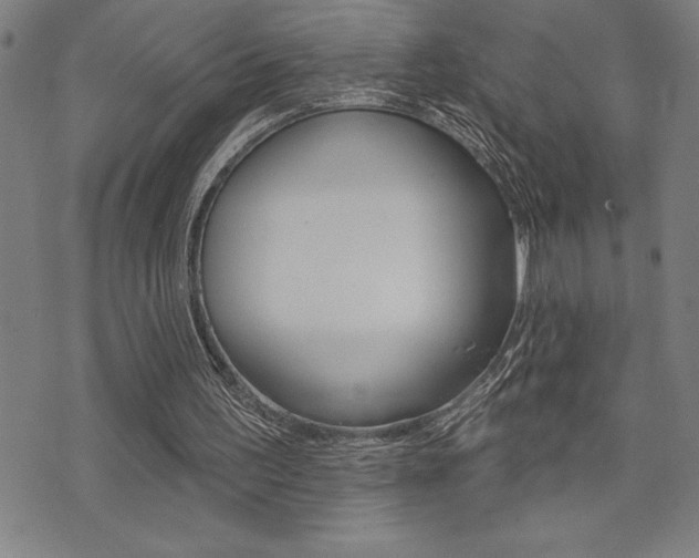 X0000072940195200607210916