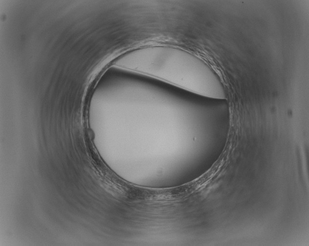 X0000072940196200607210916