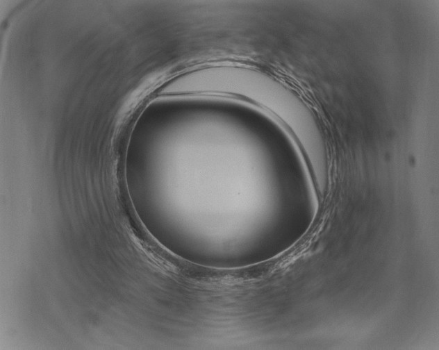 X0000072940197200607210916