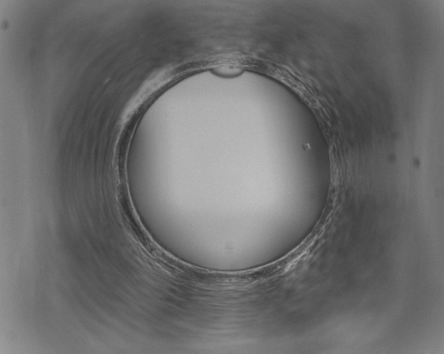 X0000072940198200607210915