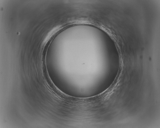 X0000072940199200607210915