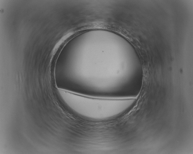 X0000072940200200607210915