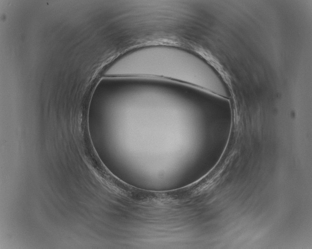 X0000072940201200607210915