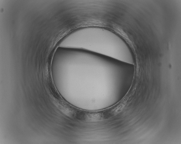 X0000072940202200607210915