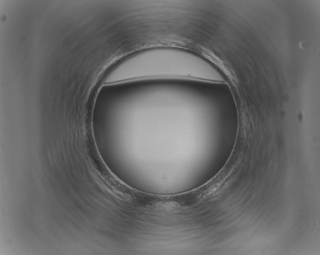 X0000072940203200607210915