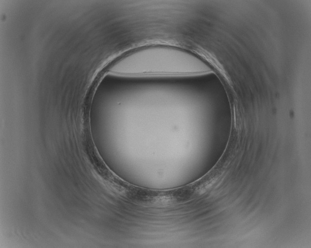 X0000072940204200607210915