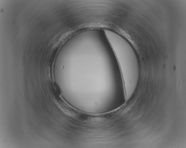 X0000072940205200607210915