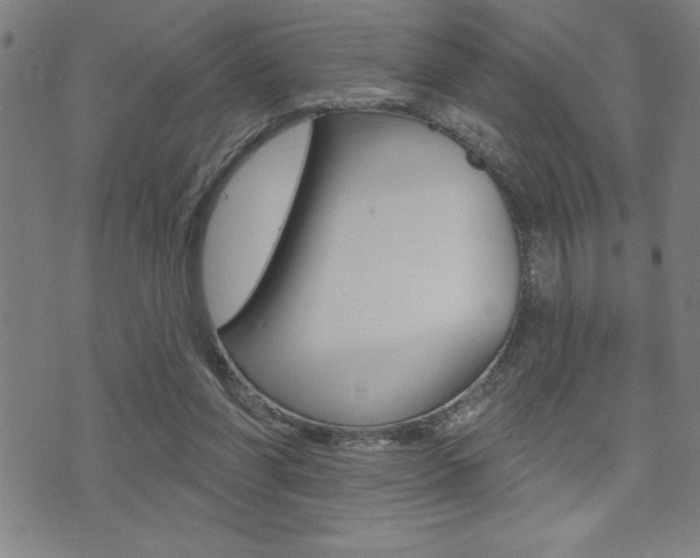 X0000072940206200607210915