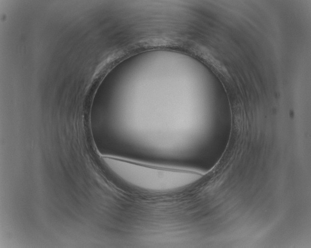 X0000072940207200607210915