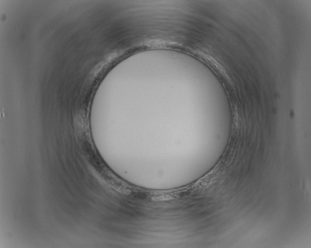 X0000072940208200607210915