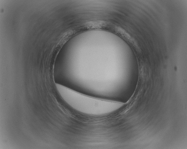 X0000072940209200607210915