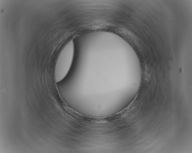 X0000072940210200607210915