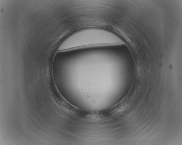 X0000072940211200607210915