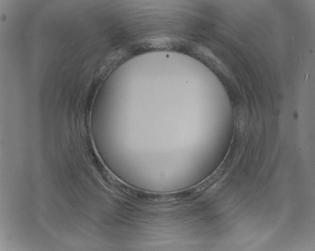 X0000072940213200607210915