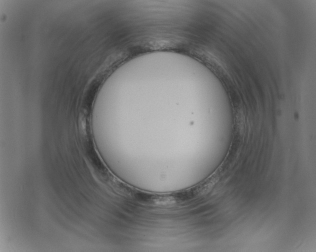 X0000072940214200607210915