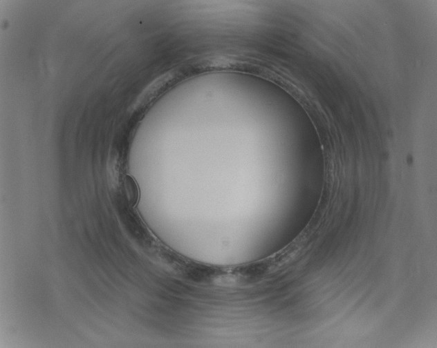 X0000072940216200607210915