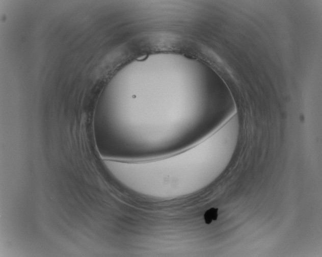 X0000072940217200607210915