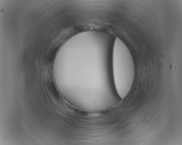 X0000072940218200607210915