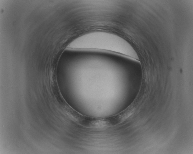 X0000072940219200607210915