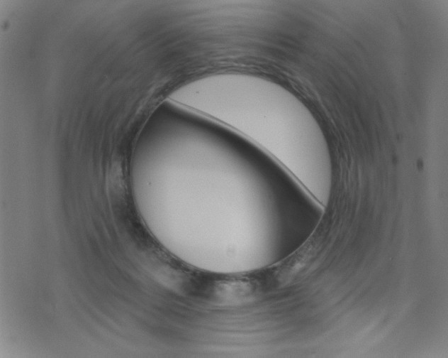 X0000072940220200607210915