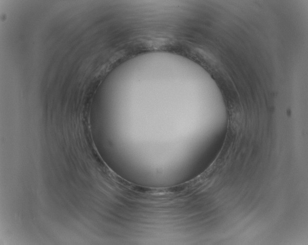 X0000072940221200607210915