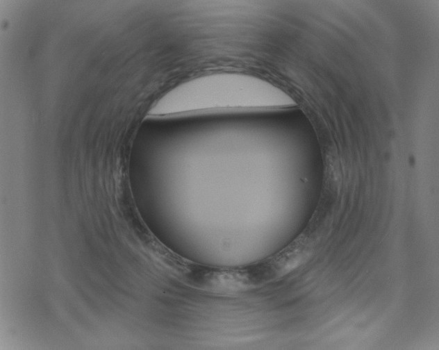 X0000072940223200607210915