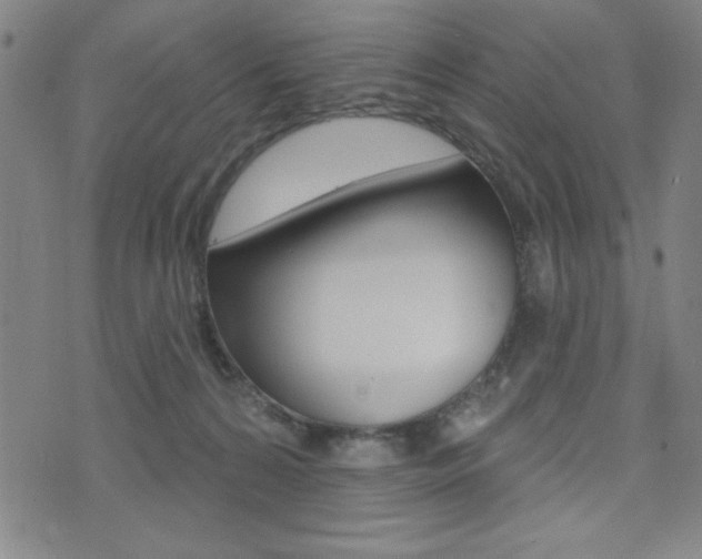 X0000072940224200607210915