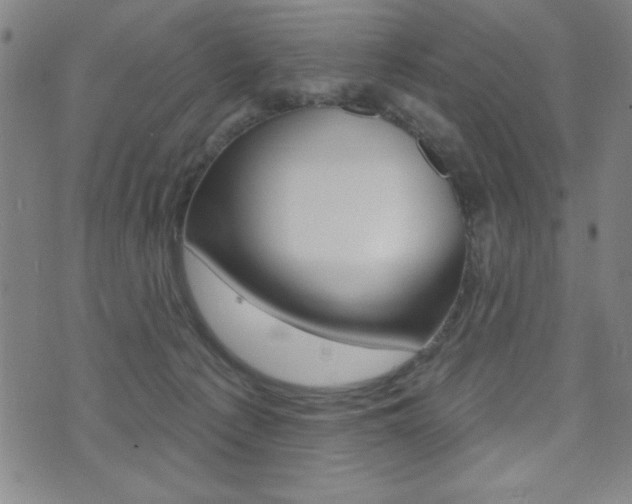 X0000072940225200607210915