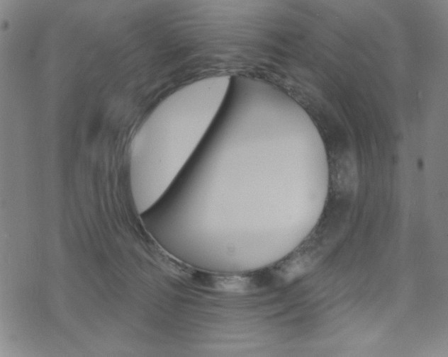 X0000072940226200607210915