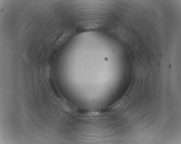 X0000072940227200607210915