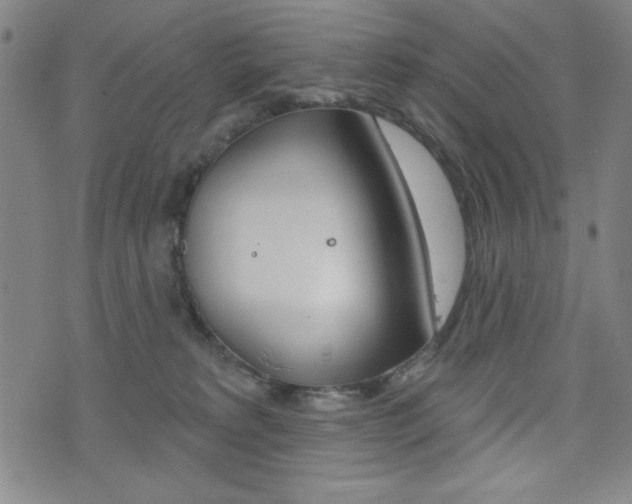 X0000072940229200607210915