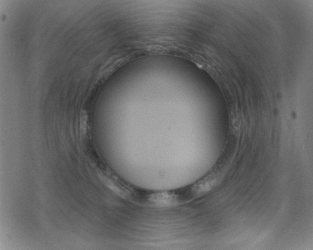 X0000072940231200607210915