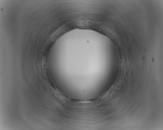 X0000072940233200607210915