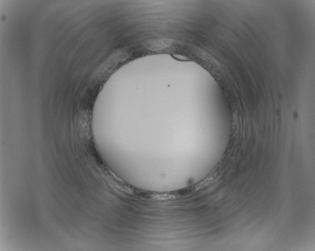 X0000072940234200607210915