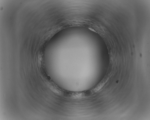 X0000072940235200607210915