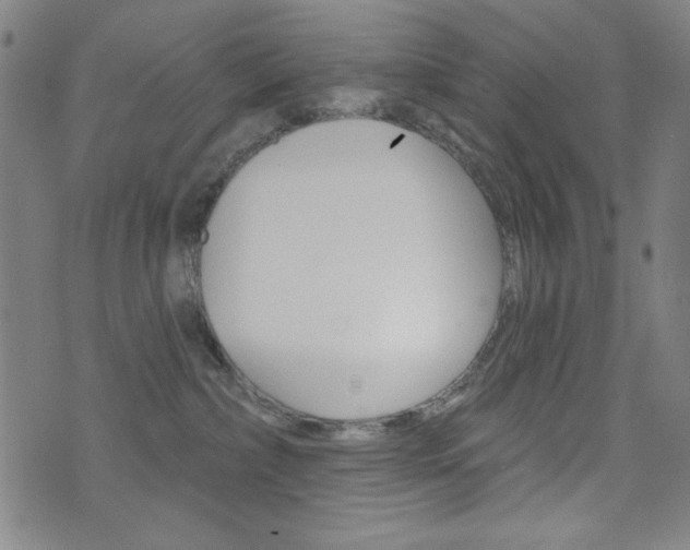 X0000072940236200607210915