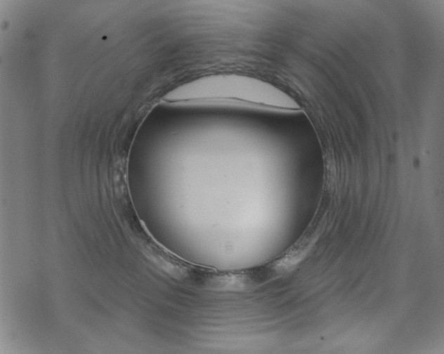 X0000072940237200607210915