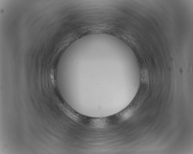 X0000072940238200607210915