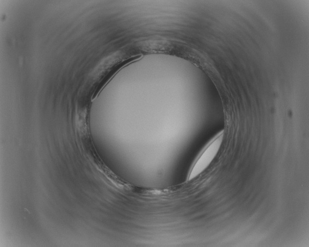 X0000072940239200607210915