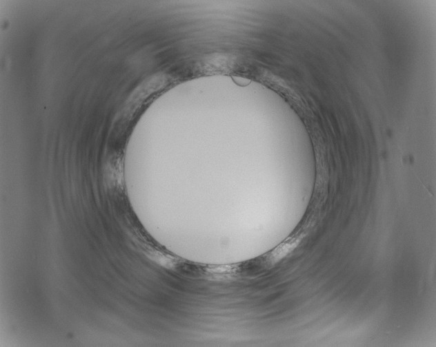 X0000072940240200607210915