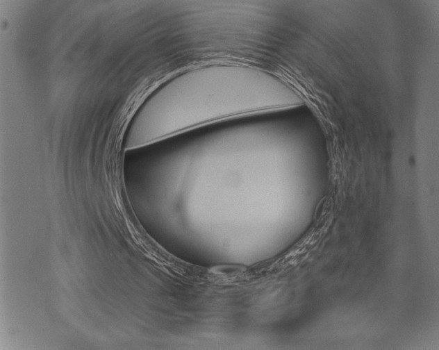 X0000072940241200607210914