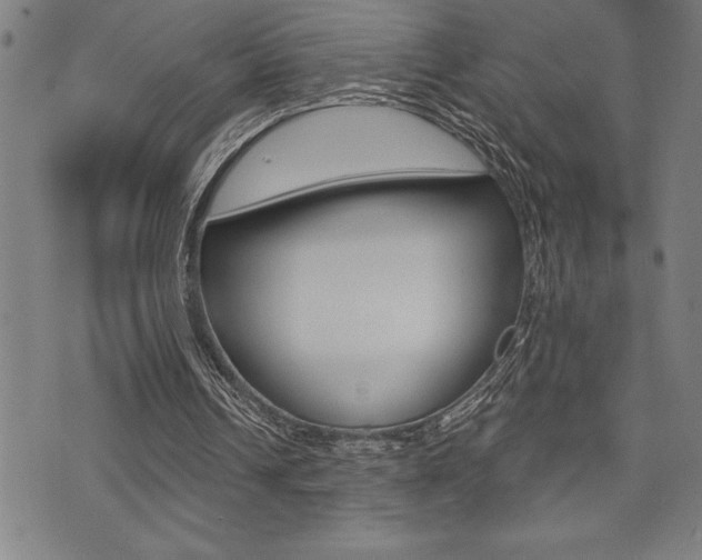 X0000072940242200607210914