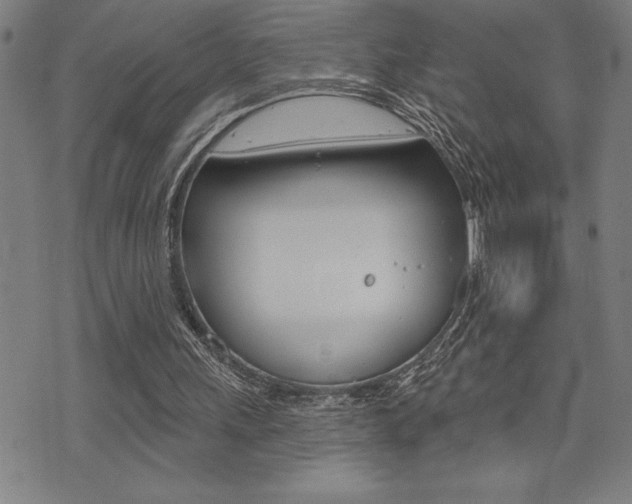 X0000072940243200607210914