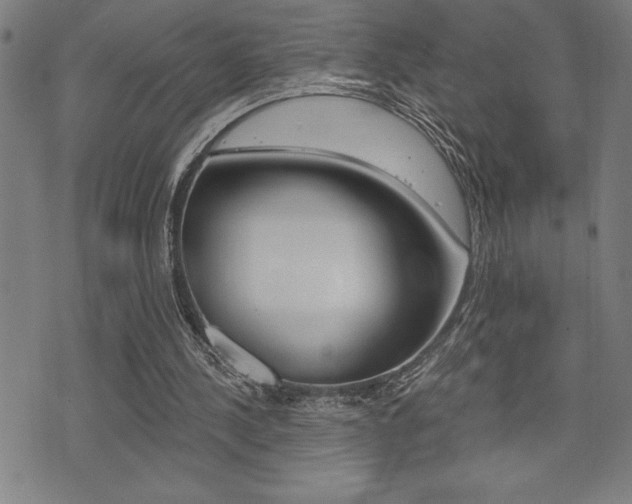 X0000072940244200607210914