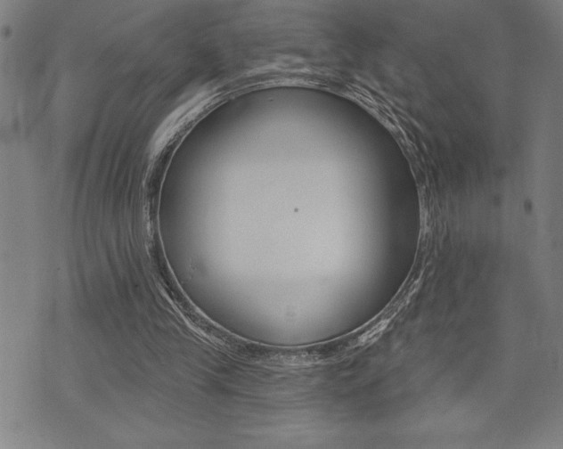 X0000072940245200607210914