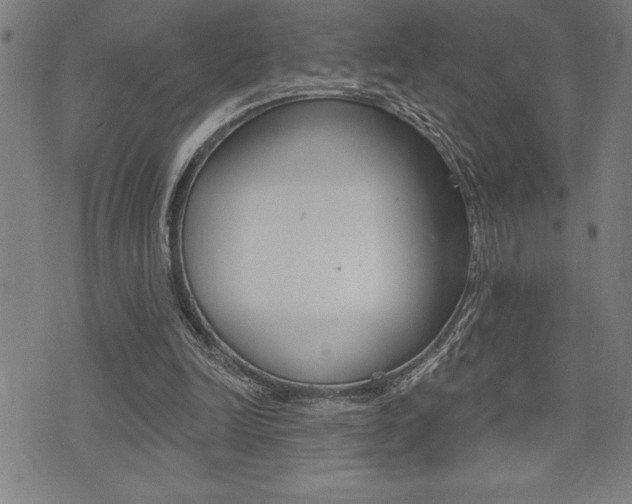 X0000072940246200607210914