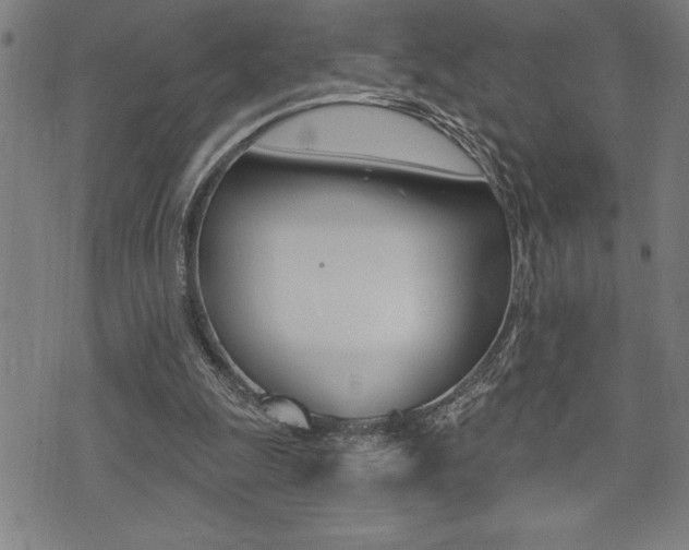 X0000072940247200607210914