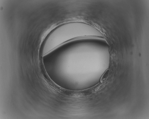 X0000072940248200607210914