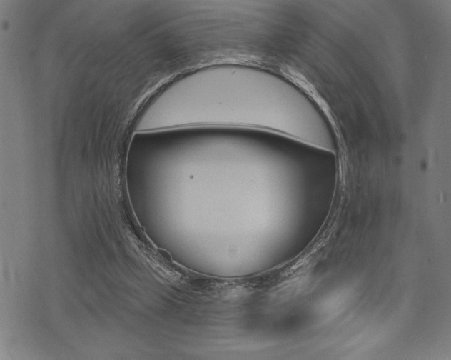 X0000072940249200607210914