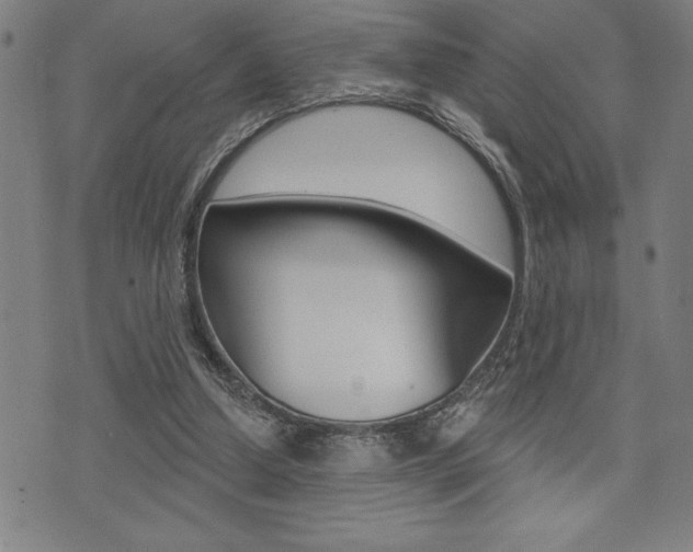 X0000072940250200607210914